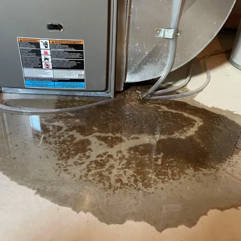 Appliance Leak Cleanup in Plainfield, IN